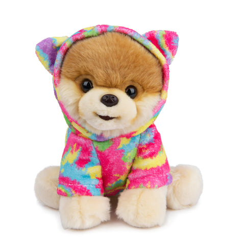boo the world’s cutest dog with tie dye hoodie