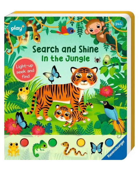 search and shine