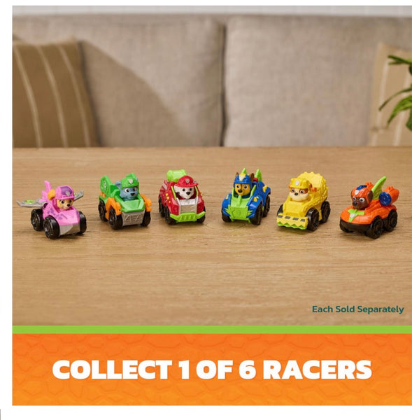 paw patrol racers - the dino movie
