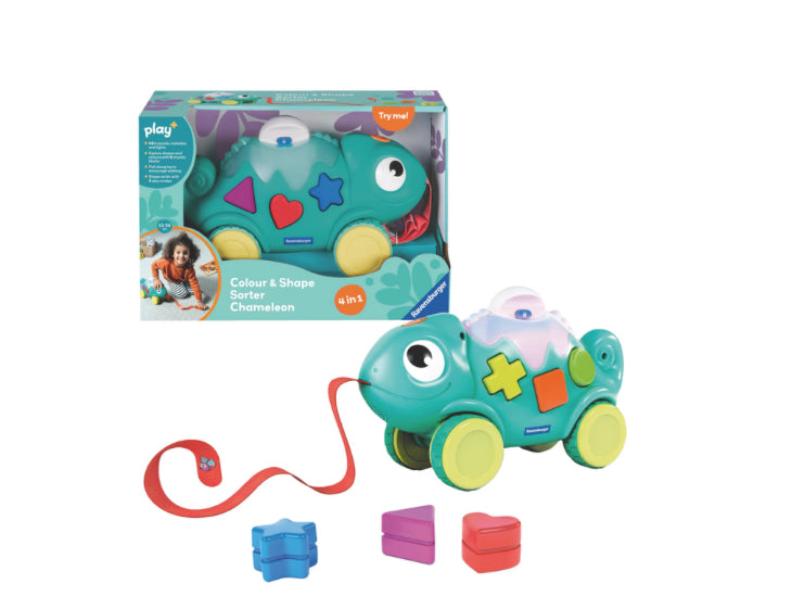 color and shape sorter chameleon