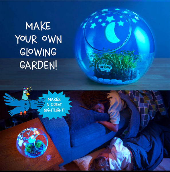 wow in the world light up terrarium