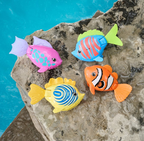 rainbow reef