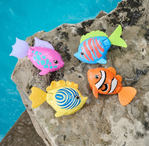 rainbow reef