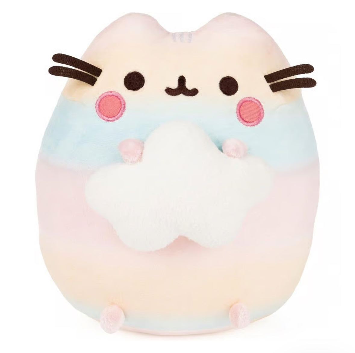 pusheen rainbow ombre