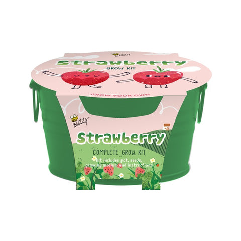 strawberry grow kit
