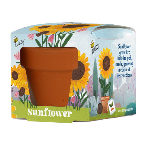 sunflower grow kit