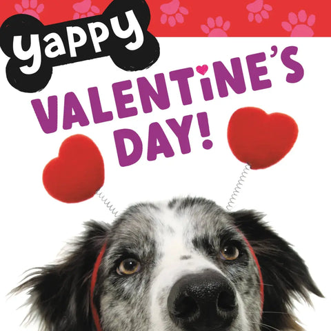 yappy valentine’s day!