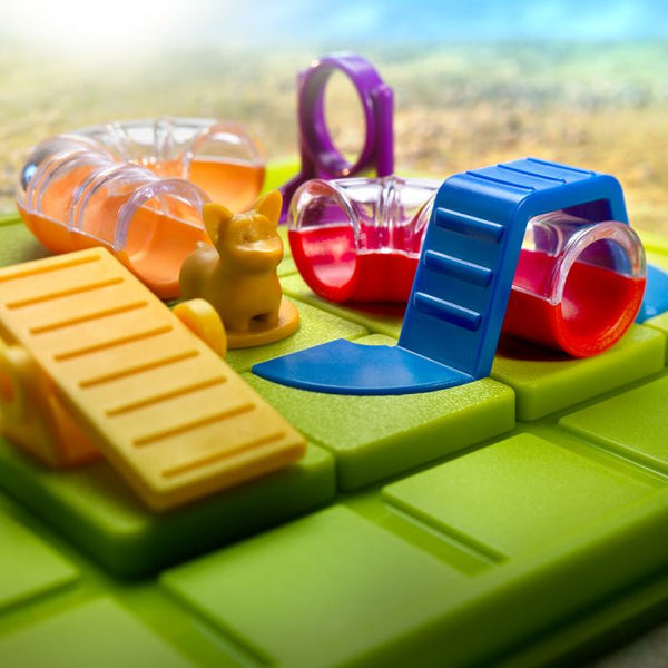 smart dog agility course