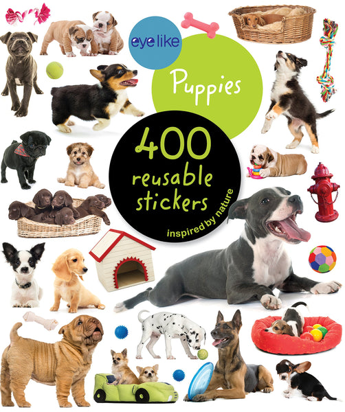 eye like reusable sticker book