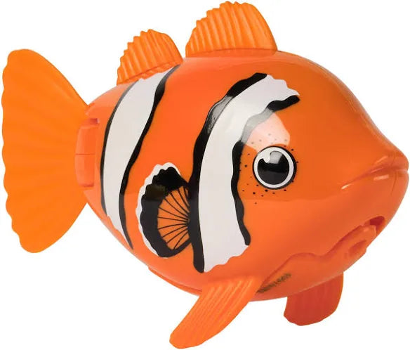 rainbow reef