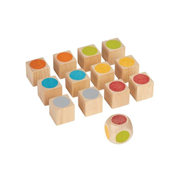 plan toys memo game