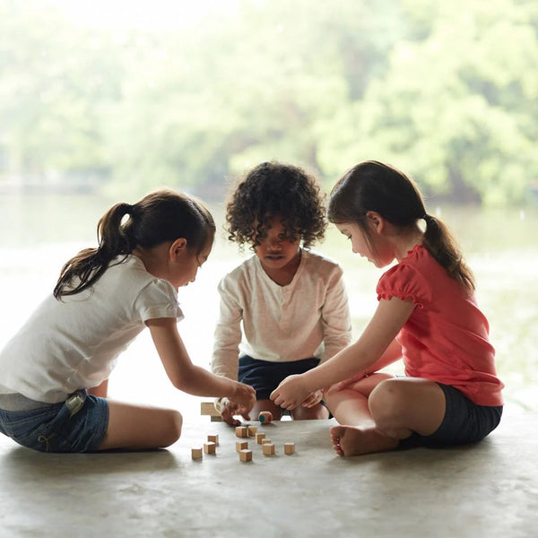 plan toys memo game