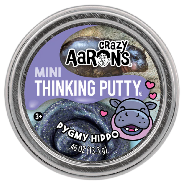 crazy aaron’s mini thinking putty