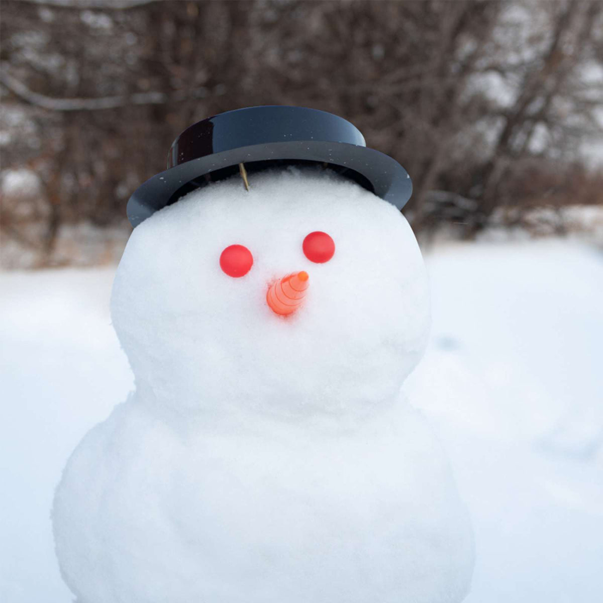 snowman kit – Parkway Presents