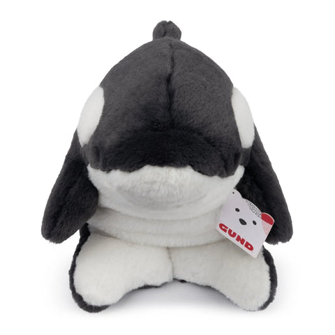 flynn the orca whale