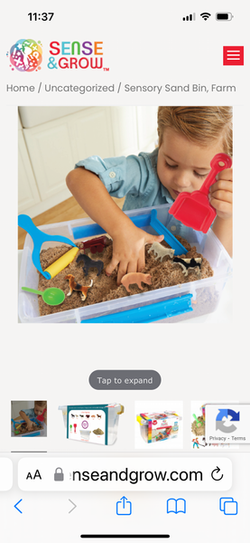 sensory sand bin - farm animals