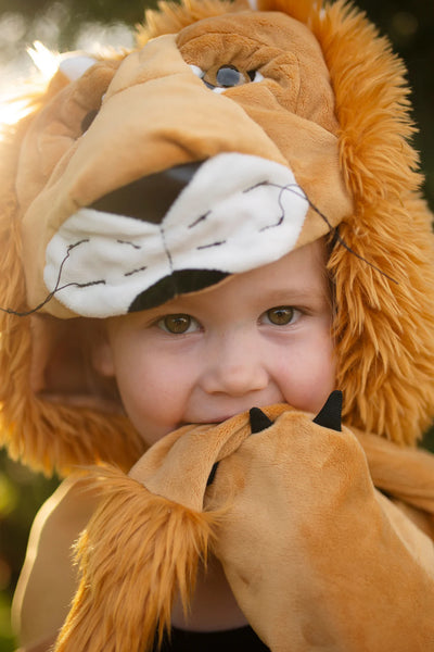 storybook lion cape