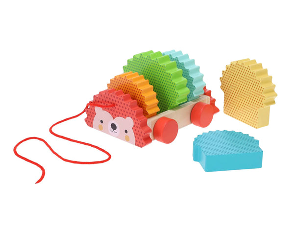 rainbow hedgehog wooden pull toy