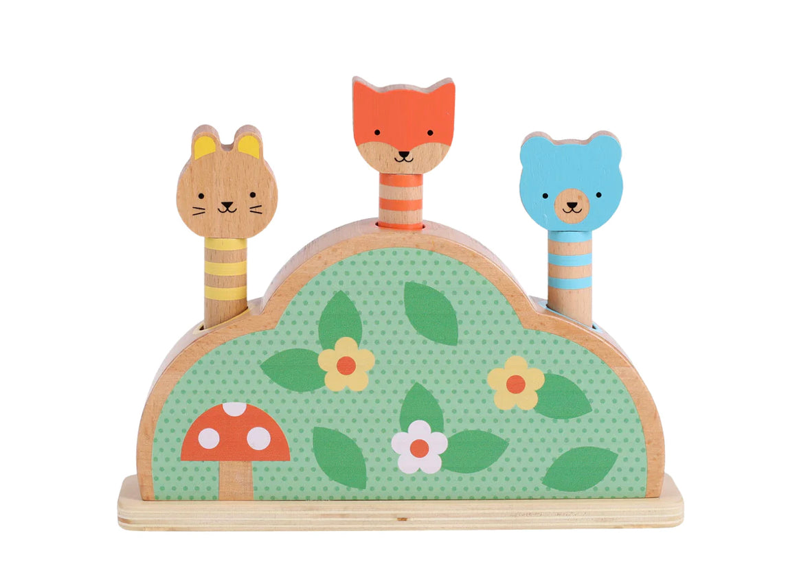 wooden pop up toy