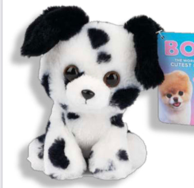 bella dalmation