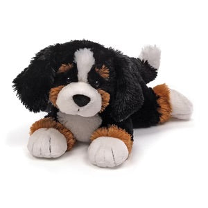 randle the bernese mountain dog