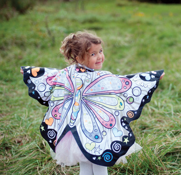 color butterfly wings