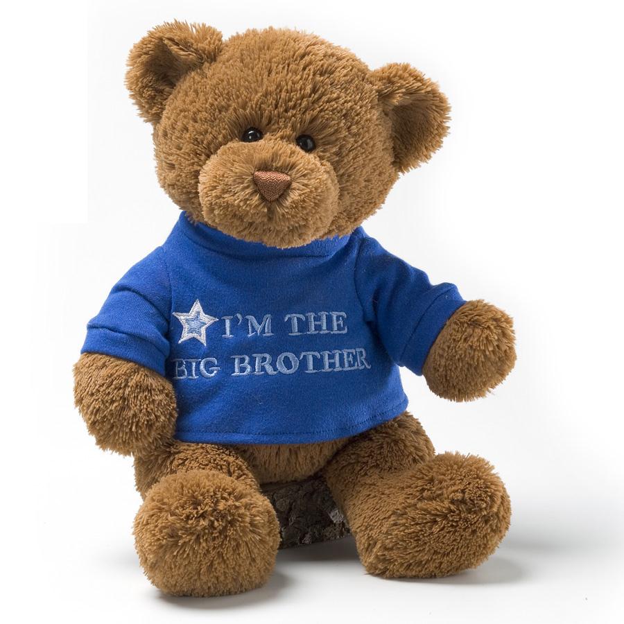 big brother bear