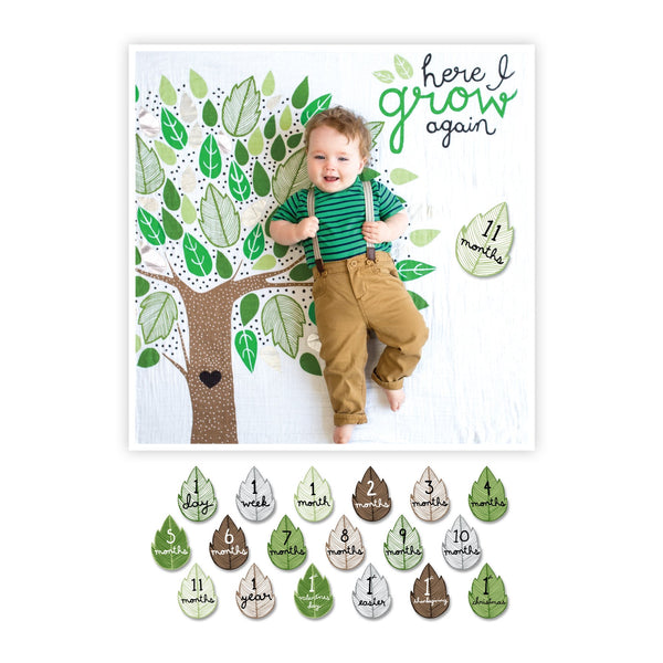 baby's first year blanket and cards set