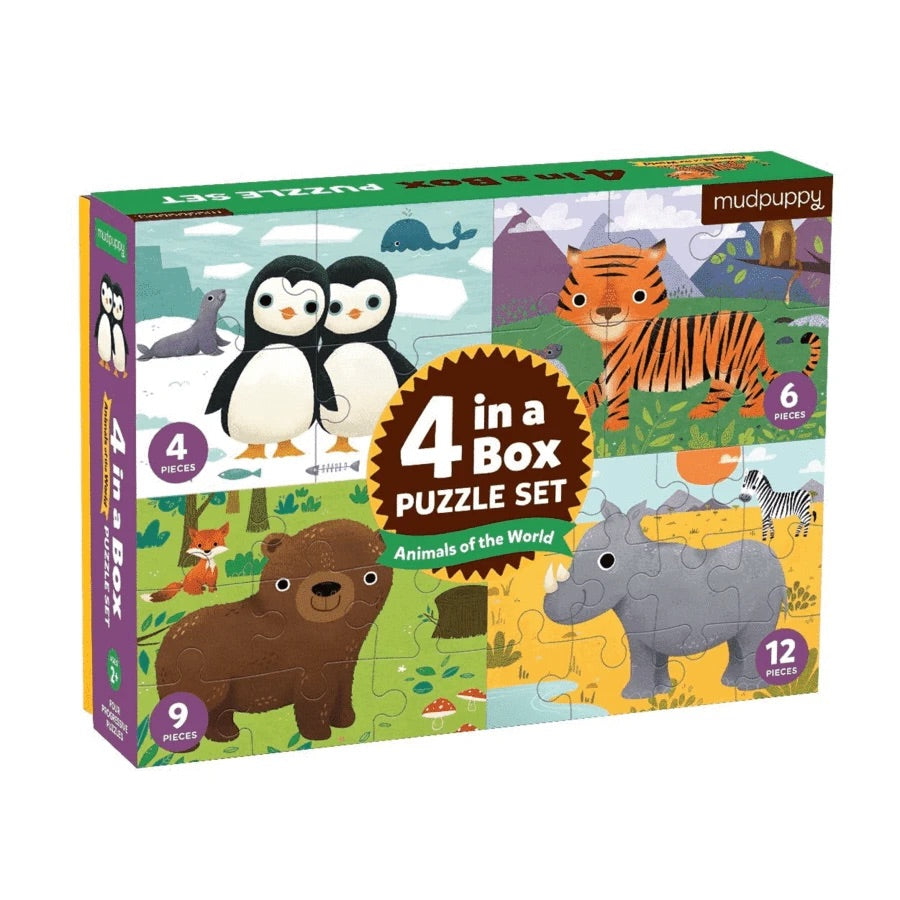 4 in a box - puzzle set