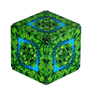 shashibo - assorted designs