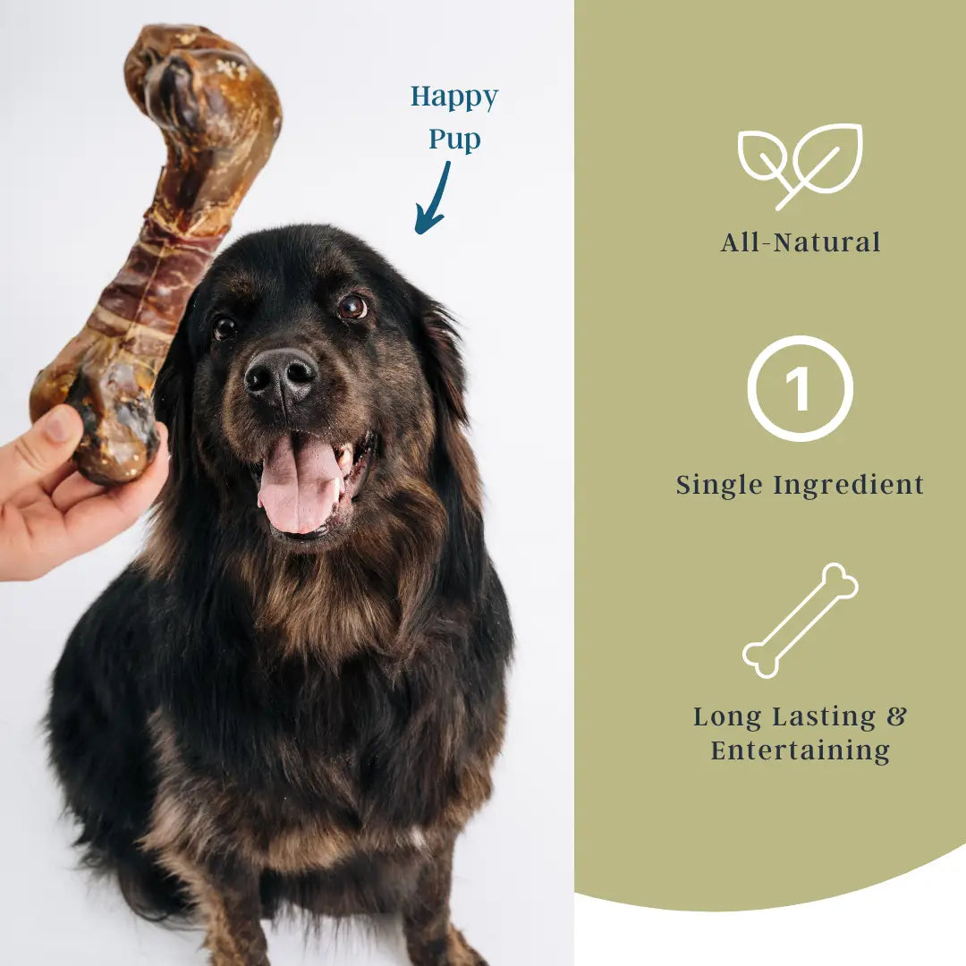 serrano ham bones for dogs Parkway Presents