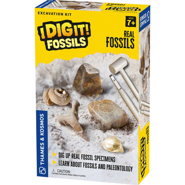 i dig it - treasure, dinos, rocks, fossils