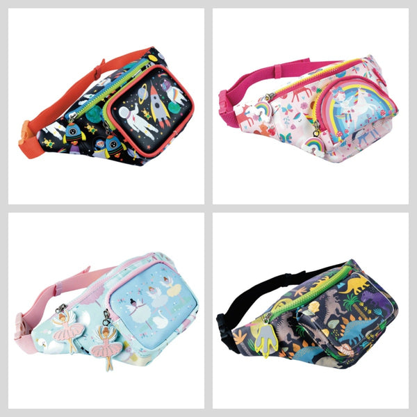 belt bag - assorted styles