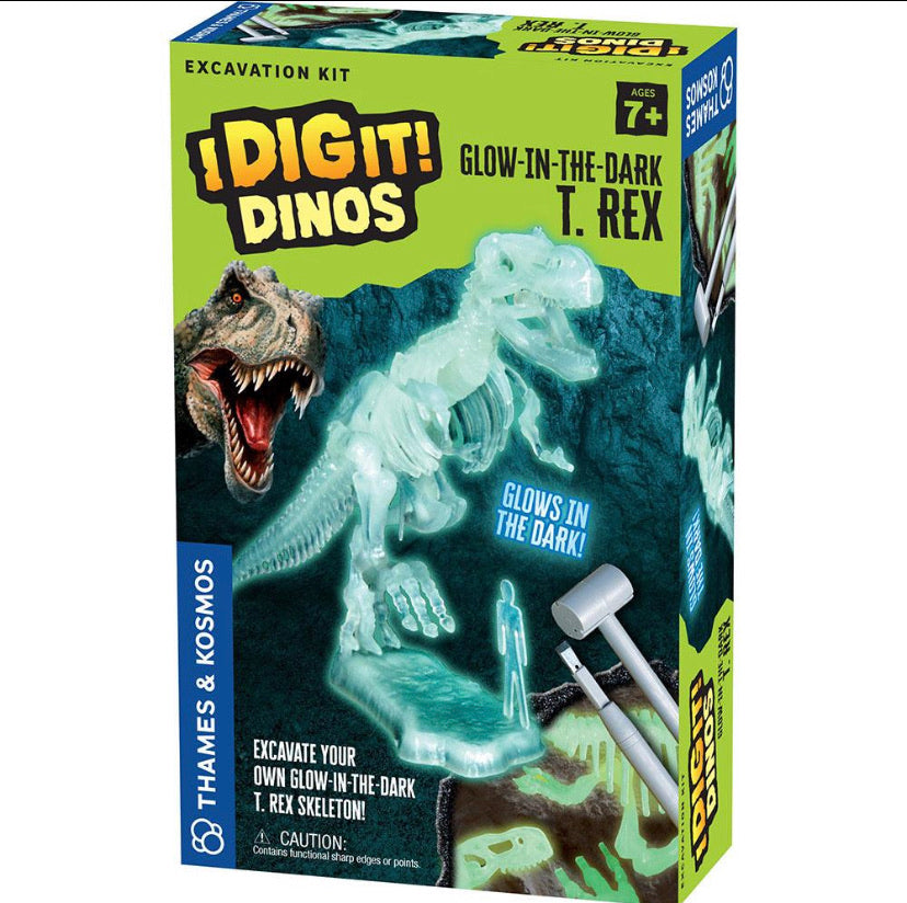i dig it - treasure, dinos, rocks, fossils, egyptian artifacts