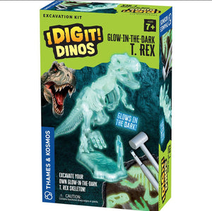 i dig it - treasure, dinos, rocks, fossils