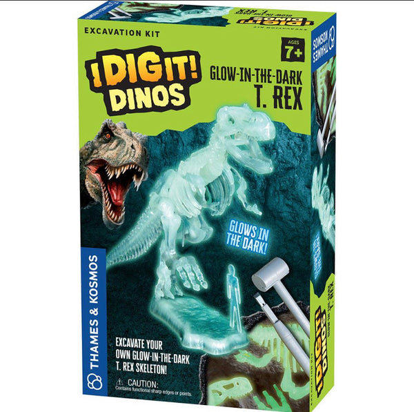 i dig it - treasure, dinos, rocks, fossils, egyptian artifacts
