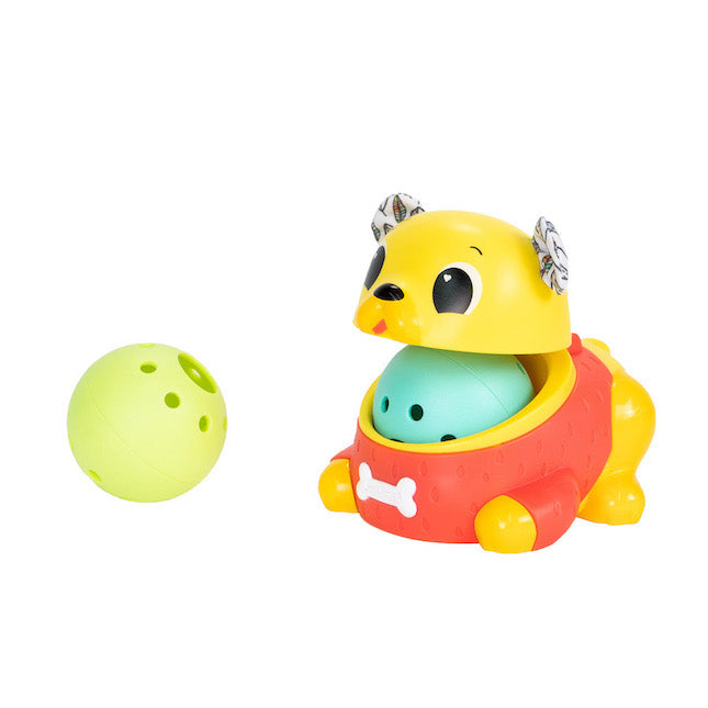 crawl and chase pug popper