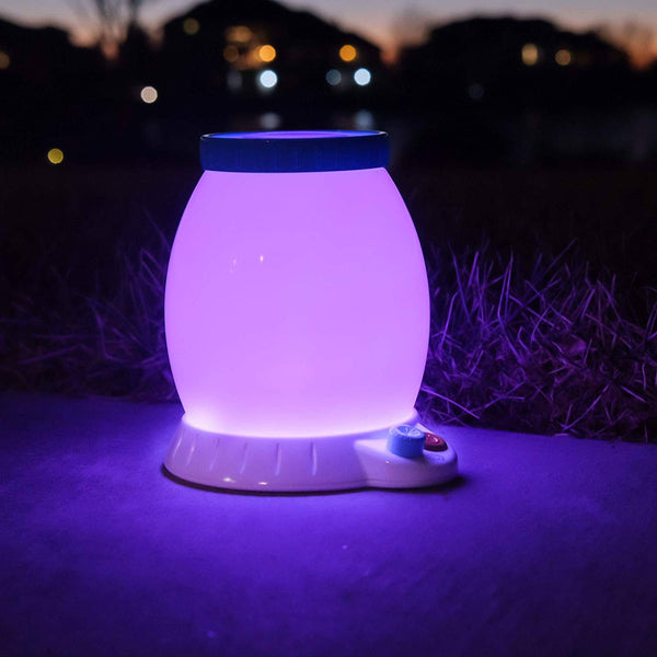 buggy light