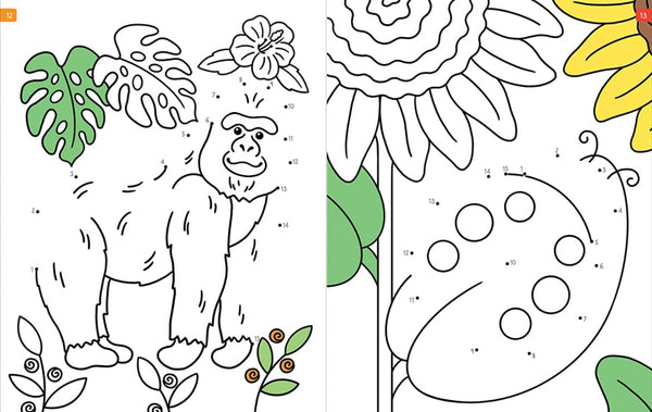 dot to dot coloring book