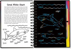 scratch and sketch - sharks