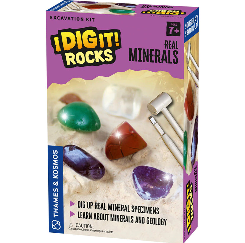 i dig it - treasure, dinos, rocks, fossils, egyptian artifacts