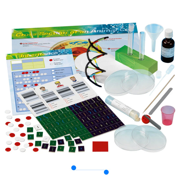 genetics and dna lab